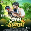 Aam Ke Diwana (Vijay Chauhan, Shilpi Raj)