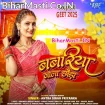 Babariya Wala Chhawra (Antra Singh Priyanka)