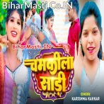 Chamkila Sari (Karishma Kakkar)