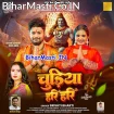 Chudiya Hari Hari (Srishti Bharti)