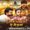 Cockroach Ae Madam (Niraj Nirala)