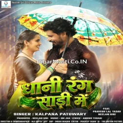 Dhani Rang Saari Me