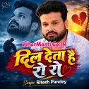 Dil Deta Hai Ro Ro (Ritesh Pandey) 