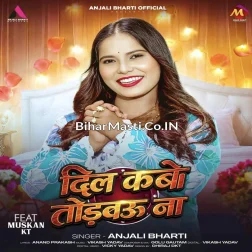 Dil Kabo Todbau Na