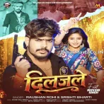 Diljale Ke Shaka Niyan Karbau Dhamaka Rlaka Samsan Ho Jaitau.mp3