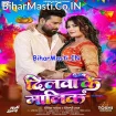 Dilwa Ke Malik (Ritesh Pandey, Shilpi Ra)