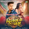 Dilwa Ke Nas (Awdhesh Premi Yadav, Shilpi Raj)
