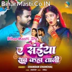 Ae Saiya Sach Kahatani Hum Ki Nanadi Gandi Hai.mp3