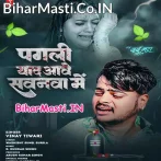 Badi Yaad Aawe Pagali Ke Sawanwa Me  .mp3