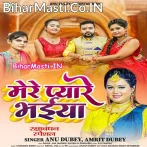 Chhoti Chhoti Bahno Ke Pyare Bhaiya Lakho Me Ek Hai Hamare Bhaiya.mp3