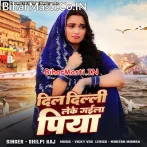 Dil Delhi Leke Gail Piya Ghar Me Na Lagata Jiya.mp3
