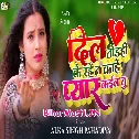 Dil Todahi Ke Rahe Ta Kahe Pyar Kaila Tu