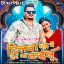 Dilwa Tode Me Der Na Kailu