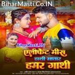 Elephant Mane Bola Na Hathi Jawan Bani Bhatar Uhe Gathi.mp3