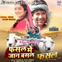 Fasal Me Jaan Basal Hamani Ke