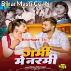Garami Me Narami Parti Ae Raja Ji (Hit Matter).mp3