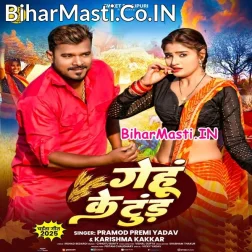 Gehu Ke Tud Tora Dhodi Me Dhuk Jaai (Hit Matter)