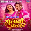 Gulabi Color