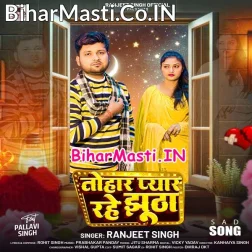 Hamar Turle Badu Dil Kahiyo Taharo Tuti (Sad Song)