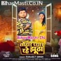 Hamar Turle Badu Dil Kahiyo Taharo Tuti (Sad Song)
