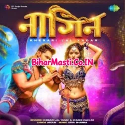 Hum Pyar Se Boli La Tu Ban Jalu Nagin Dj Song