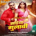 Kahe Pahirelu Sariya Gulabi Ae Bhabhi Nabhi Ke Niche