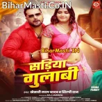 Kahe Pahirelu Sariya Gulabi Ae Bhabhi Nabhi Ke Niche.mp3