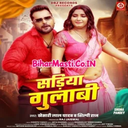 Kahe Pahirelu Sariya Gulabi Ae Bhabhi Nabhi Ke Niche Mp3 Song