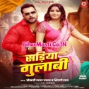 Kahe Pahirelu Sariya Gulabi Ae Bhabhi Nabhi Ke Niche Mp3 Song