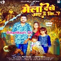 Mela Dekhe Aaye Hai
