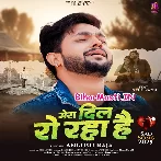 Mera Dil Ro Raha Hai (Sad Song)
