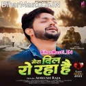 Mera Dil Ro Raha Hai (Sad Song)