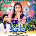 Mil Gaile Hamke Balam Gor Misana