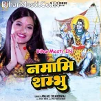 Namami Shambhu.mp3