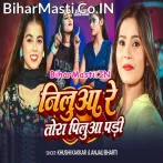 Nilua Re Tora Pilua Pari.mp3