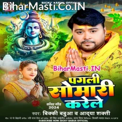 Pagli Somari Karele