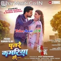 Patare Patar Piya Dhari Na Panjariya Patare Kamariya Ho