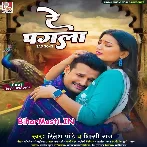 Re Pagali Kaise Suratiya Tor Bhulaib Re (Sad Song)
