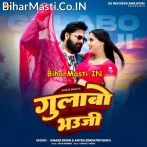 Seva Me Hum Sarkaro Ke Rahab.mp3