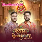 Shyam Dil Ka Bura Nahi Hoon.mp3