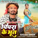 Tohar Pyar Ha Ki Pipra Ke Bhoot Rani Ho Utarat Naikhe