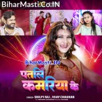 Tora Patari Kamariya Ke Diwana Bhail Duniya Ba.mp3
