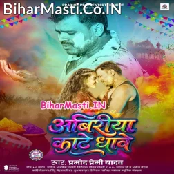 Tu Bhiriya Naikhu Ae Sona Abiriya Kate Dhawela