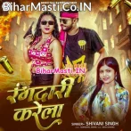 Tu Bihari Hawa Kahe Rangdari Karela.mp3