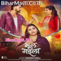 Tu Hamare Ke Bhul Gaila