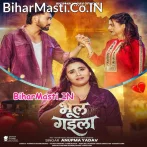 Tu Hamare Ke Bhul Gaila.mp3