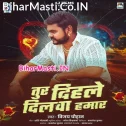 Tur Dihale Dilwa Hamar Re Pagali