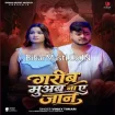 Garib Muab Na Ae Jaan (Vinay Tiwari)