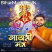 Gaytri Mantra (Ankush Raja)