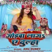 Godwa Laga Ae Dulha (Anu Dubey)